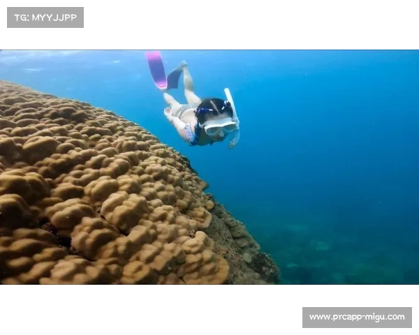 海南自由潜赛事因台风榕树推迟至7月20日重启 全新赛程引关注